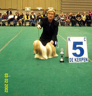 Lhasa Apso Dream on win at Eindhoven dogshow