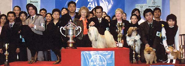 Lhasa Apso best in show champion el minja's nag-po-chen-po