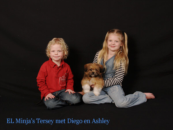 lhasa apso pup with children