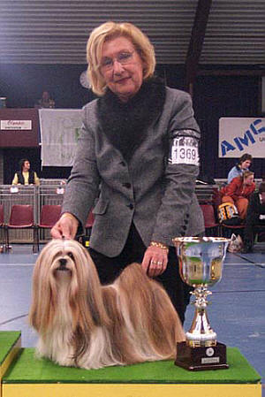 Lhasa Apso Topwinning Champion EL Minja's Dream On the proud mother of 1 litter of Lhasa Apso puppies